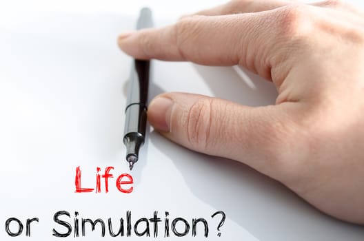 Life or simulation text concept isolated over white background