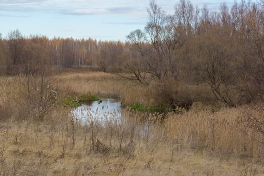 The photo shows a field, tree planting and road.