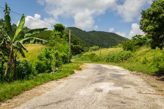 In the picture an asphalted road that passes through the jungle in Cuba.