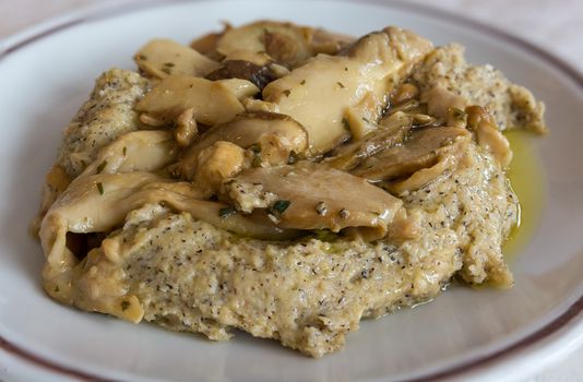 in the picture typical italian food ,Polenta Taragna and mushrooms (Porcini) on white dish at restaurant.