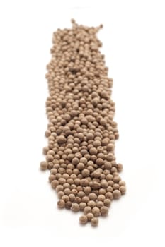 Row of Organic White Pepper (Piper nigrum) isolated on white background.
