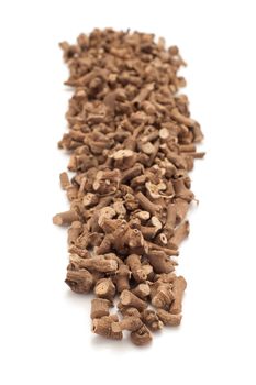 Row of Organic Ganthoda or Long pepper Roots (Piper longum) isolated on white background.