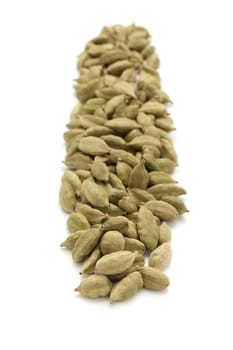 Row of Organic Green or True cardamom (Elettaria cardamomum) isolated on white background.