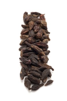 Row of Organic Chebulic Myrobalan or Choti Harad (Terminalia chebula) isolated on white background.