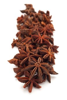 Row of Organic Star anise or Chakra Phool (Illicium verum) isolated on white background.