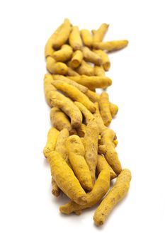 Row of Organic Long Turmeric or Haldi (Curcuma longa) isolated on white background.