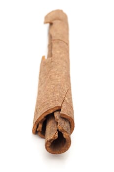 Close up of Cinnamon stick (Cinnamomum verum) isolated on white background.