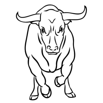 Freehand illustration of bull on white background, doodle hand drawn