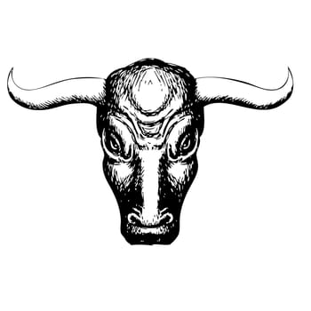 Freehand illustration of bull on white background, doodle hand drawn