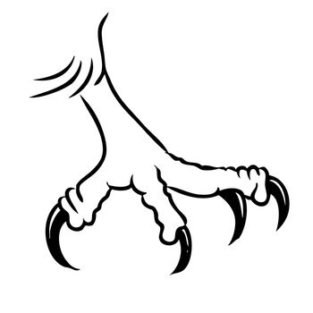 Freehand illustration of eagle bird claws  on white background, doodle hand drawn