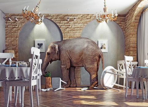 an elephant calm in a restaurant interior. photo combination concept