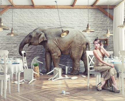 the elephant calm in a restaurant interior. photo combination concept