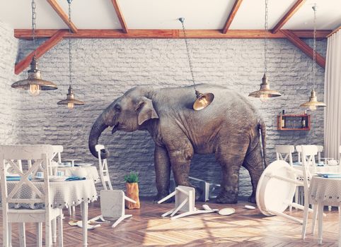 an elephant calm in a restaurant interior. photo combination concept