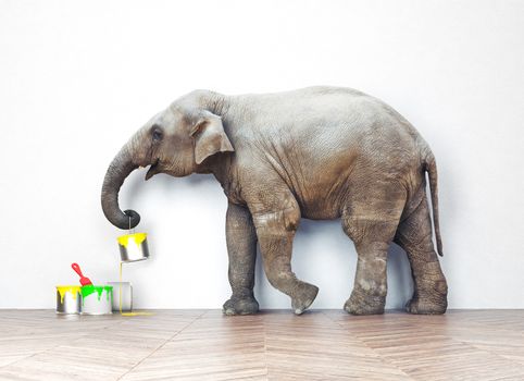 An elephant with paint cans. Photo combination concept