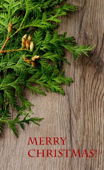 Christmas Decorations of Thuja Branches with Small Cones and Inscription closeup on Textured Wooden background