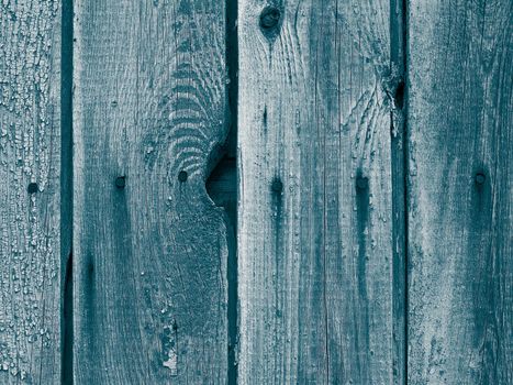Turquoise Cracked Wooden Background with Timber Knots and Old Nails closeup
