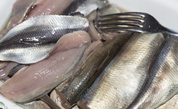 Swedish "Sour Herring" (Surströmming) Close up.