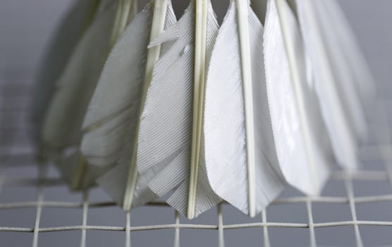 Shuttlecock on Badminton Racket close up.