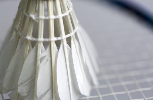 Shuttlecock on Badminton Racket close up.