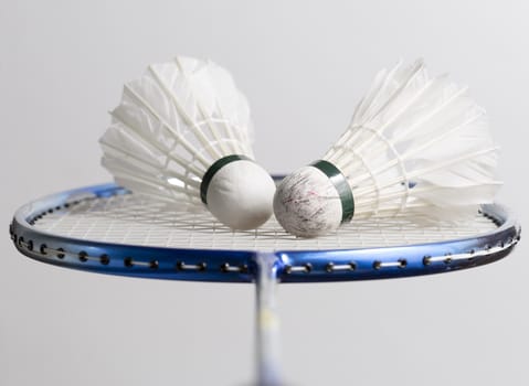 Pair of Shuttlecocks on Badminton Racket