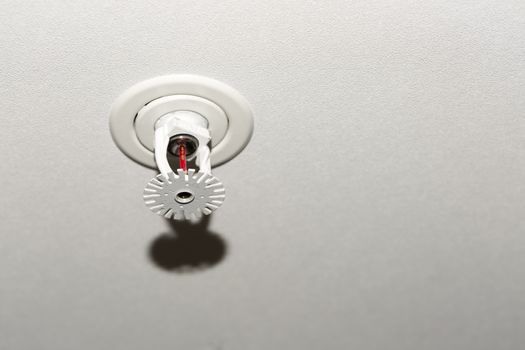 Fire Sprinkler Close Up in ceiling.