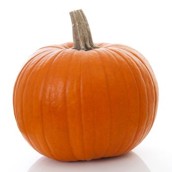 big orange pumpkin isolated on white background