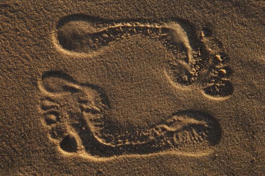 The traces left by man on the sandy beach.