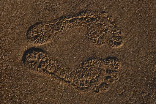 The traces left by man on the sandy beach.