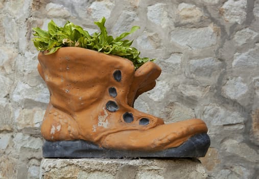 Flower pot in the form of a large shoe.