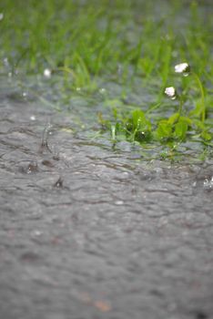 torrential rain splashing on the grass