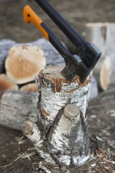 Two ax stuck in a birch stump.