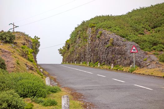 Cow warning road sign - empty street, hill top