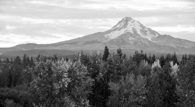 Mount Hood stands alone in the fall at sunrise