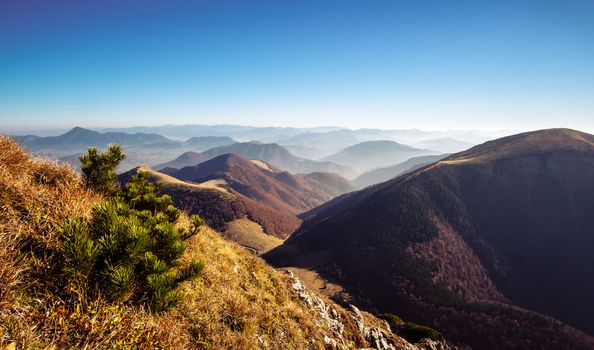 Scenic view of colorful misty mountain hills in fall, Mala Fatra, Slovakia