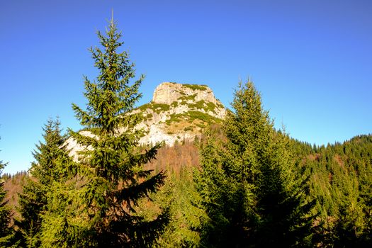 Rocky mountain peak with forest trees in foreground, Mala Fatra, Slovakia