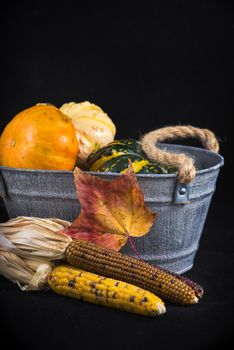 Abstract autumn harvest background with pumpkins and fall leaves over black background
