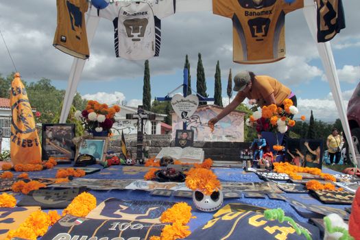 MEXICO, Mexico City: A woman puts flowers on a grave during the Day of the Dead ('Dia de los muertos' in spanish), in the cemetery of Iztapalapa, a huge district in eastern Mexico City, on November 2, 2015.