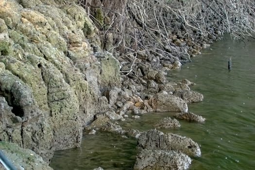 Dry twigs of willow are on the water's edge. The shore is sandy increase water currents.