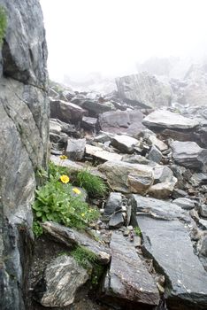 Hiking path for health and tourism in alpes  mountains  in summer