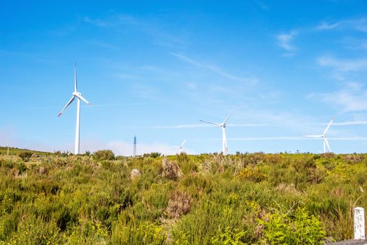 wind turbines behind hill top - green landscape