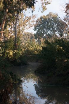 Calm river nature with trees and water reflections