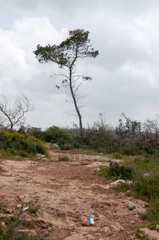 Hiking in Israeli nature landscape with good weather under cloudy sky