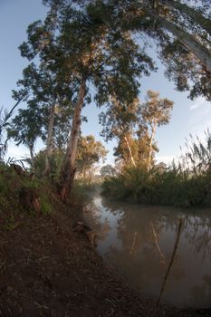 Calm river nature with trees and water reflections