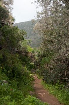 Hiking in Israeli nature landscape with good weather under cloudy sky