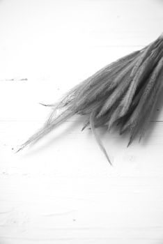 wheat on white table black and white color