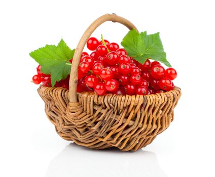 Basket full of red currant on a white background