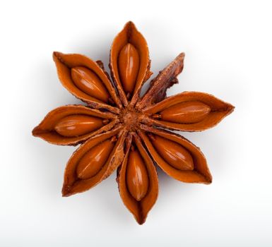 Anise star isolated on a white background. Clipping Path