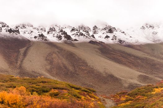 Autumn changes the ground covers color in Alaska winter