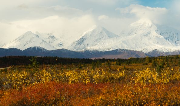 The tundra reacts to the weather in remote Alaska