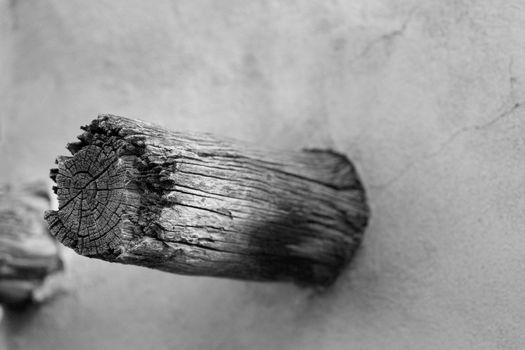 Decayed, rotted viga on Southwestern home in Old Town, Albuquerque, New Mexico.  Black and white image with shallow depth of field and focus on aged, rough-hewn, wood beam of architectural detail on traditional adobe wall.    